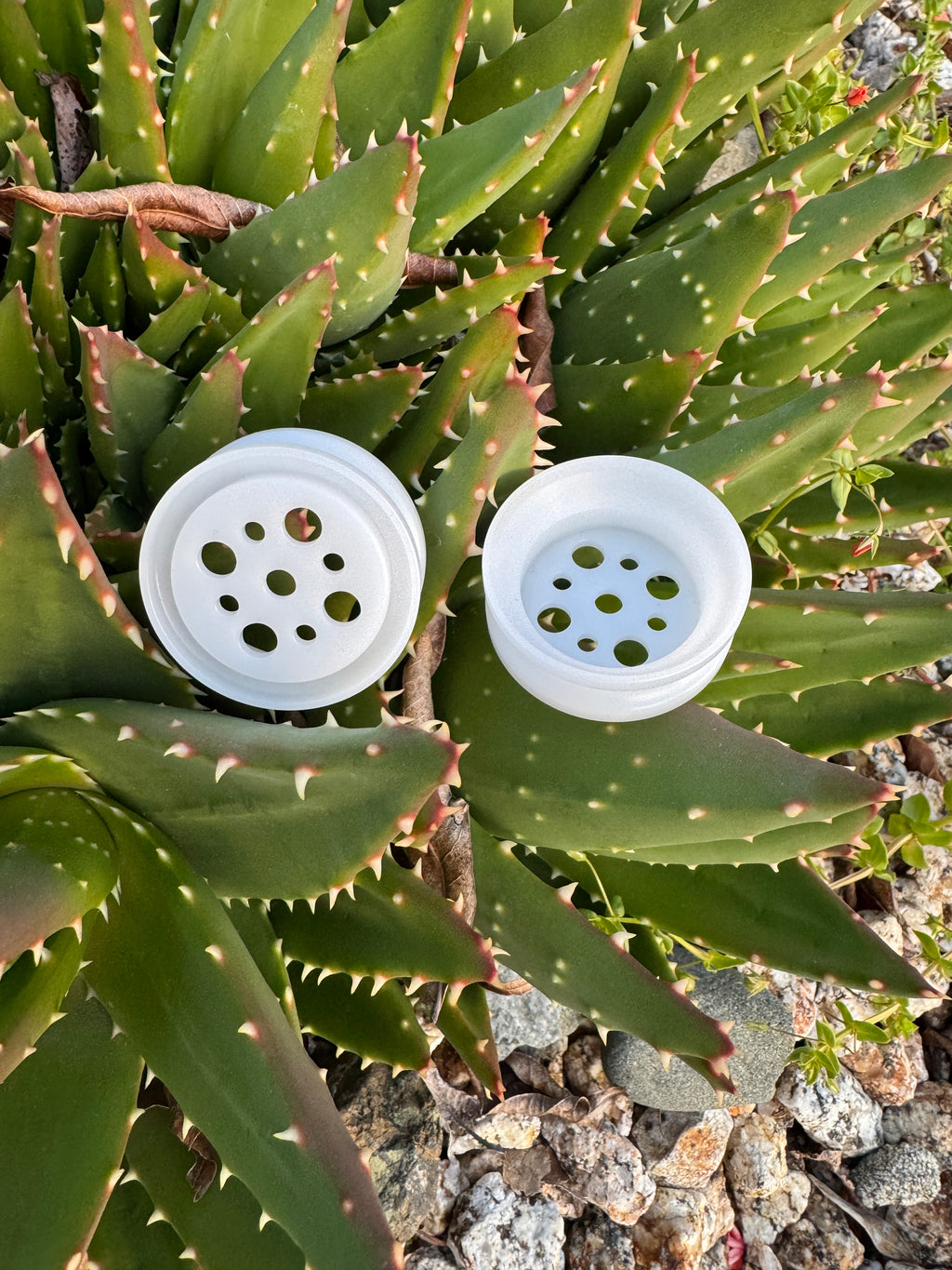 PlusBeans