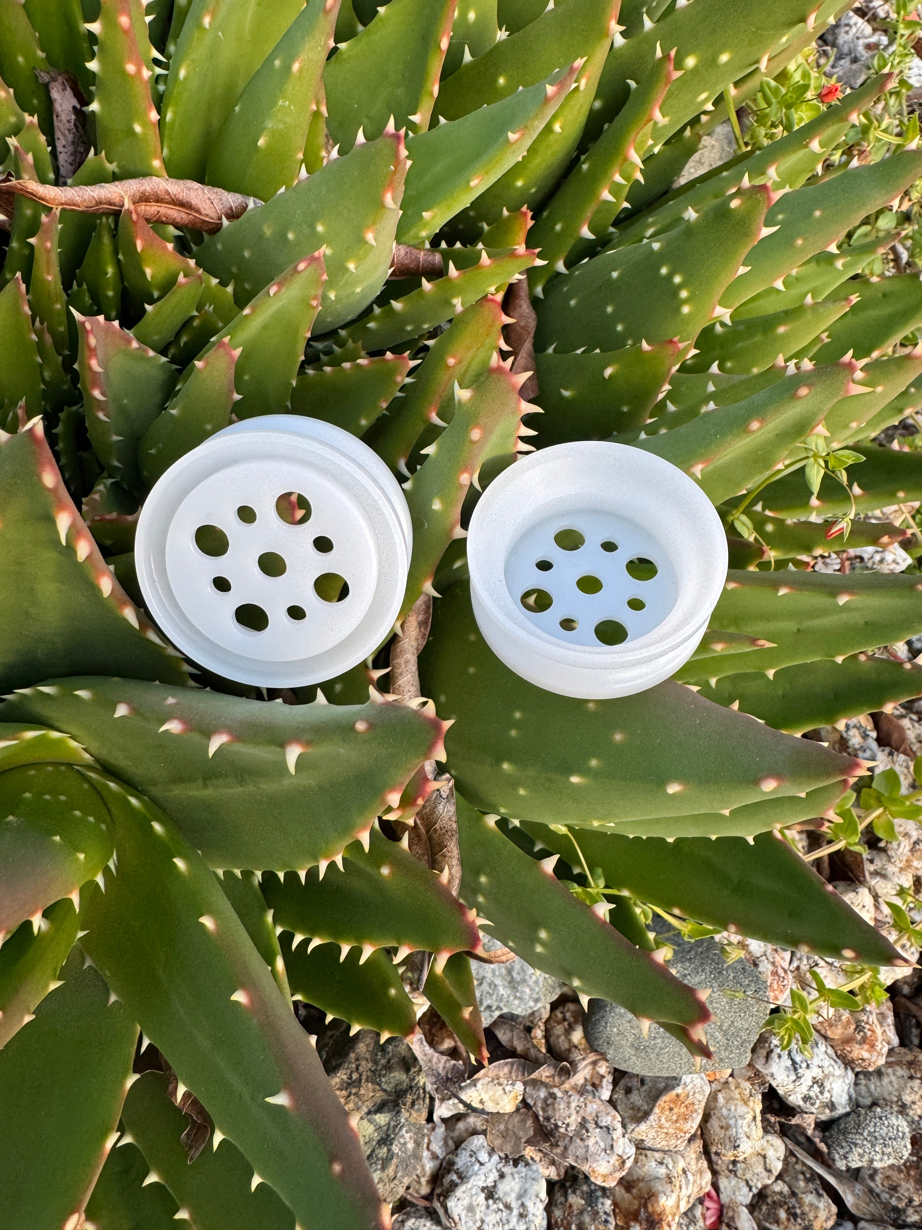 PlusBeans