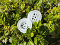 Beacon Wheels