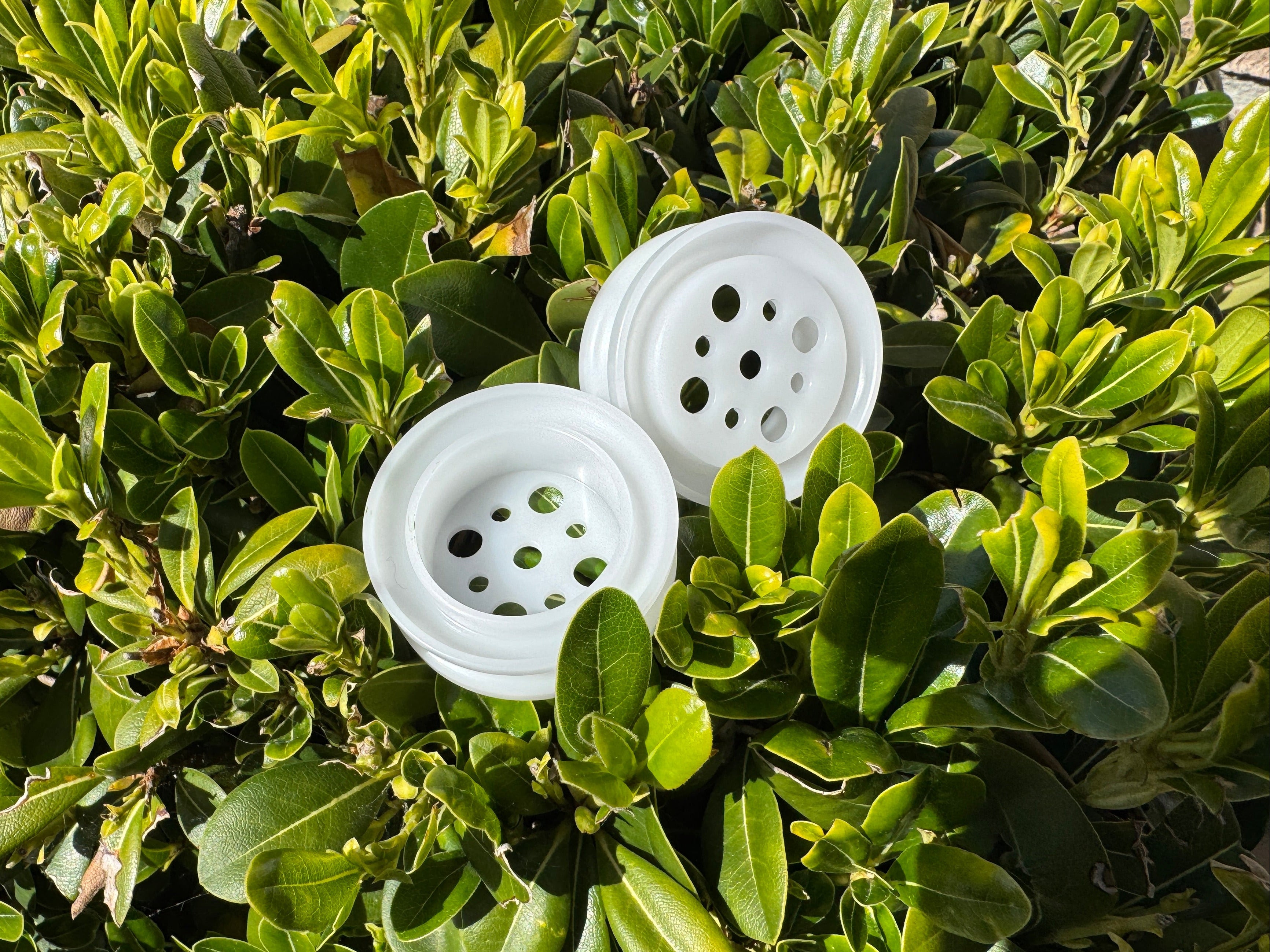 Beacon Wheels